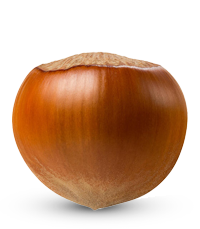 Hazelnut